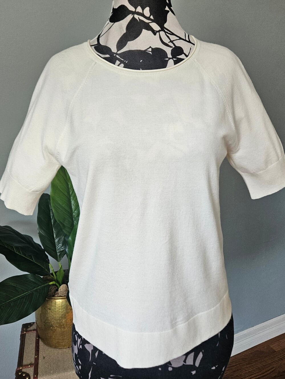 Loft  Minimalist Soft Cream Short Sleeve Raglan Fine Knit Sweater Top Size M.
